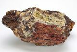 Fibrous, Yellow Wulfenite Crystals - Lucin, Utah #214810-1